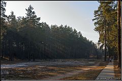 photo "Autumn landscape."