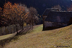 photo "Autumn"