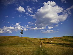 photo "***"