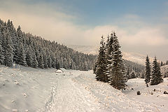 photo "***"