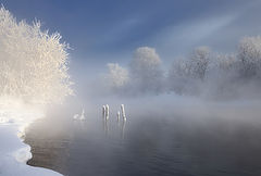 photo "***"
