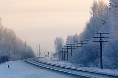photo "Into the frosty distance"