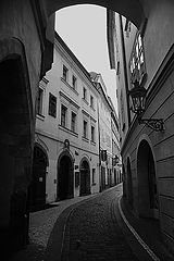 фото "Yлочка"