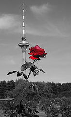 photo "***"