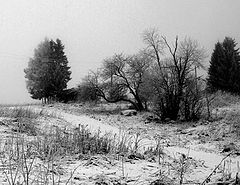 photo "***"