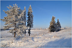 фото "Зимний наряд"