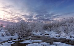 фото "Морозный день на крайнем севере"