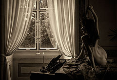 фото "The Window"