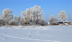 фото "За околицей"