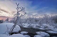 фото "В гордом одиночестве"