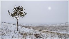 photo "***"