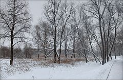 фото "заснежило"