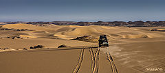 фото "Desert Safari1"