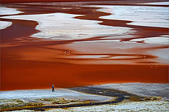 фото "Весенним днем"