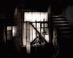 photo "***"