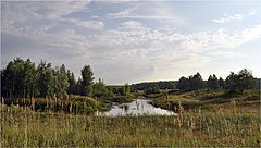 фото "Июльский день"