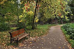 фото "осеннее"