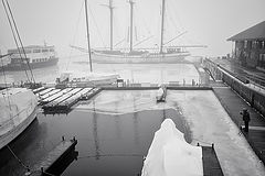 photo "marina"