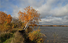 фото "Последняя осень"