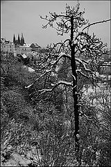 фото "Зимняя атмосфера"