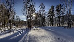 фото "Зимнее солнце."