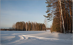 photo "***"