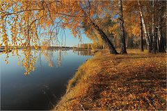 фото "Возвращаясь в золотую осень....река Ия."