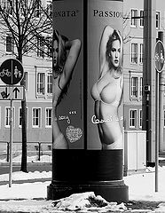photo "ThreeContradictions"