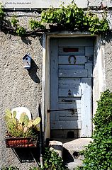 фото "a corner in the garden"