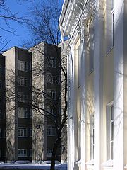фото "Такие непохожие"