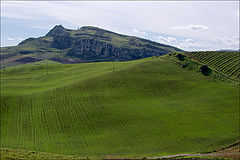 photo "Hills of Sicily"