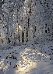 photo "***"