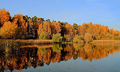 photo "***"