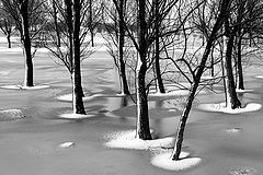 photo "***"