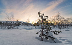 фото "Первые солнечные дни"