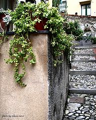 фото "lane in Boccadasse, Genoa"
