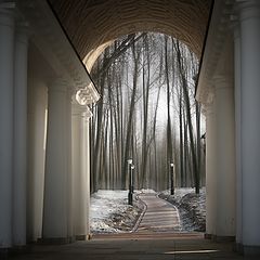 фото "Жизнь полосата черно-белым цветом..."