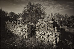 photo "El tiempo"