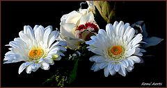 фото "***"