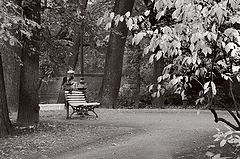 photo "***"