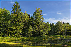 фото "Июльская зарисовка"