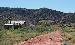 фото "Cuervo, NM"
