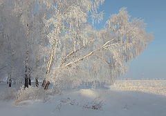 photo "***"