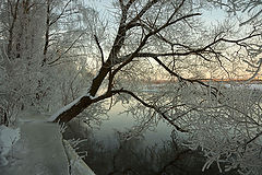 photo "***"