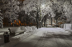 photo "***"