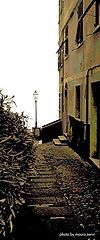 фото "the lane"
