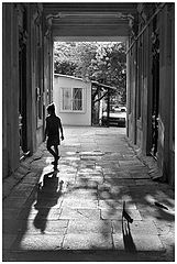 фото "Домой."