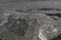 photo "Games of Ice and Sun"