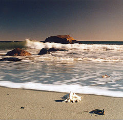 photo "rising tide"