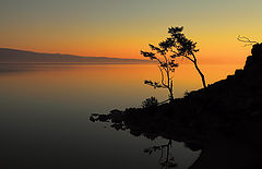 photo "***"